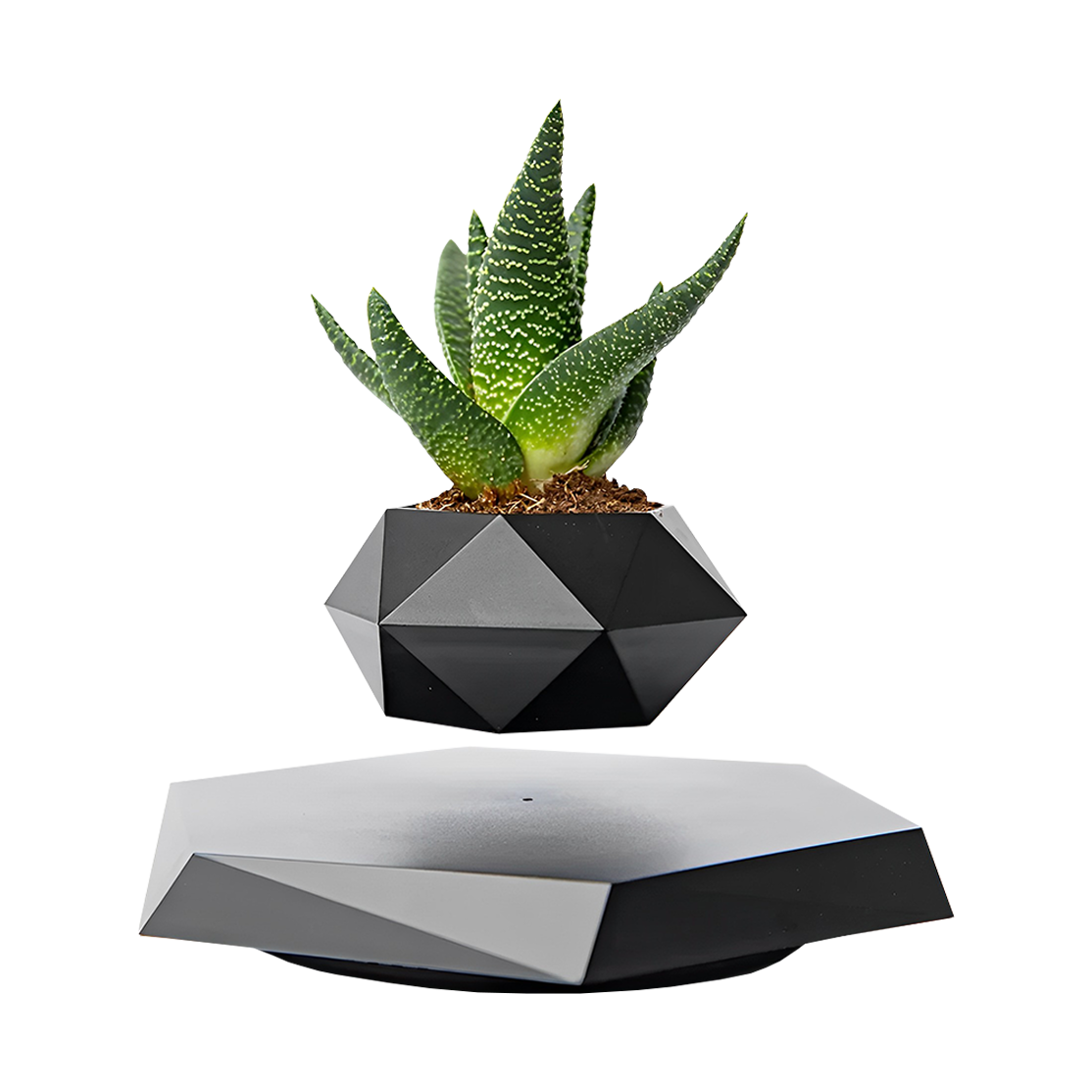 Floating Flower Pot Magnetic Levitation